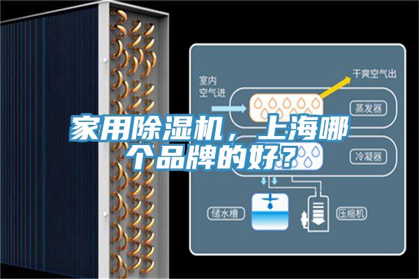 家用榴莲视频官网APP，上海哪個品牌的好？