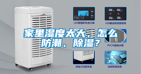 家裏濕度太大，怎麽防潮、除濕？
