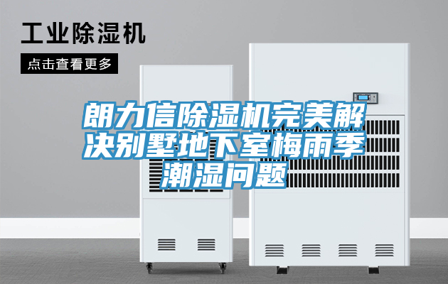 朗力信榴莲视频官网APP完美解決別墅地下室梅雨季潮濕問題