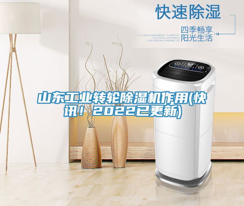 山東工業轉輪榴莲视频官网APP作用(快訊！2022已更新)