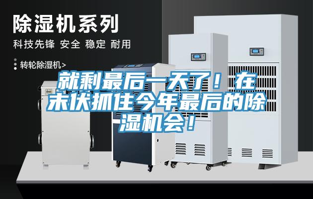 就剩最後一天了！在末伏抓住今年最後的榴莲视频官网APP會！
