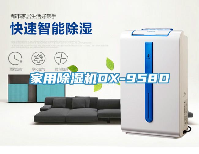 家用榴莲视频官网APPDX-958D
