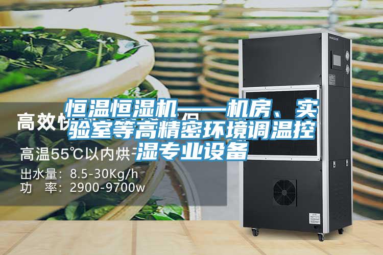 恒溫恒濕機——機房、實驗室等高精密環境調溫控濕專業設備