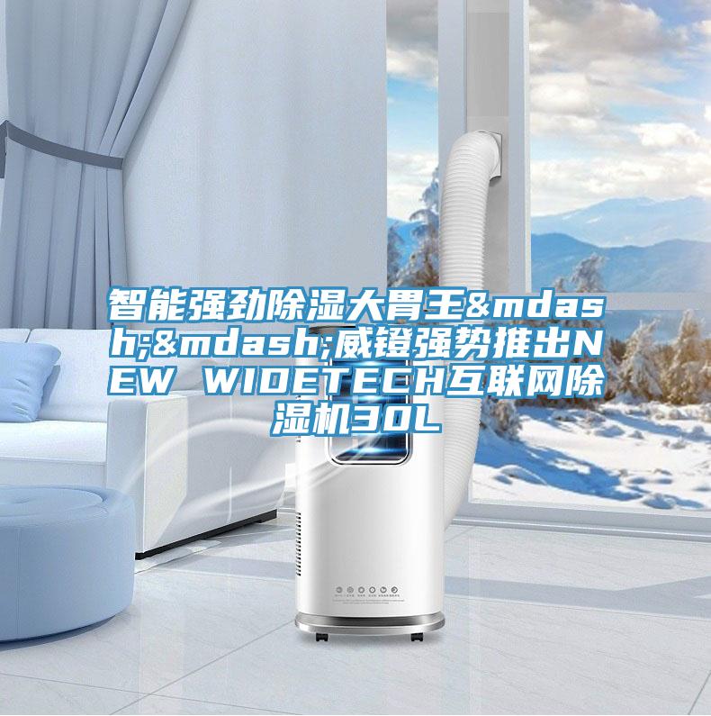 智能強勁除濕大胃王——威鐙強勢推出NEW WIDETECH互聯網榴莲视频官网APP30L