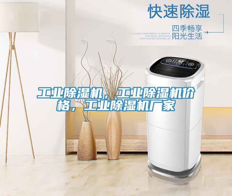 工業榴莲视频官网APP，工業榴莲视频官网APP價格，工業榴莲视频官网APP廠家