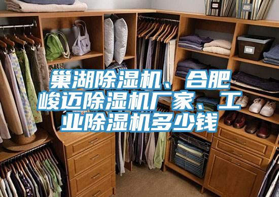 巢湖榴莲视频官网APP、合肥峻邁榴莲视频官网APP廠家、工業榴莲视频官网APP多少錢