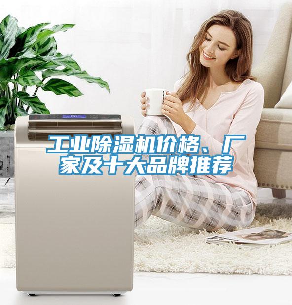 工業榴莲视频官网APP價格、廠家及十大品牌推薦