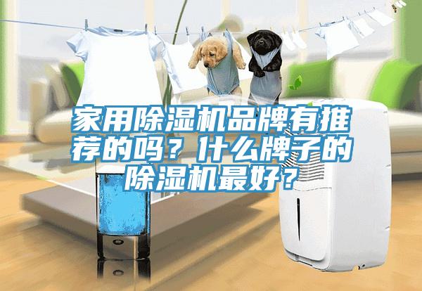 家用榴莲视频官网APP品牌有推薦的嗎？什麽牌子的榴莲视频官网APP最好？