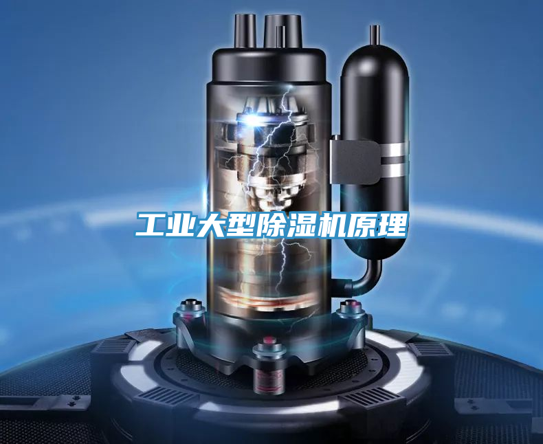 工業大型榴莲视频官网APP原理