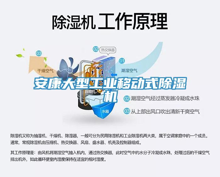 安康大型工業移動式榴莲视频官网APP