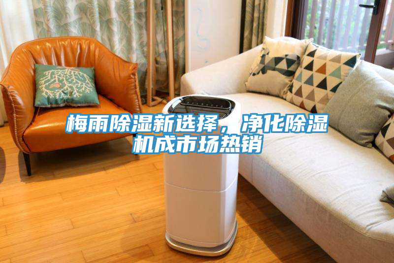 梅雨除濕新選擇，淨化榴莲视频官网APP成市場熱銷