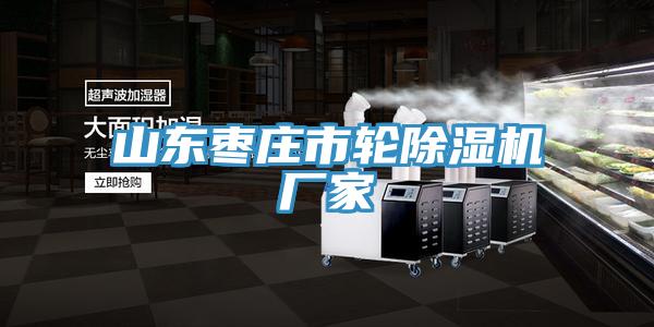 山東棗莊市輪榴莲视频官网APP廠家