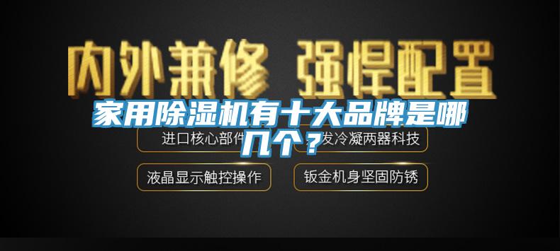 家用榴莲视频官网APP有十大品牌是哪幾個？