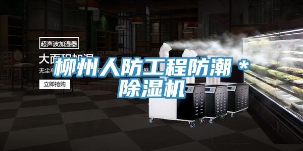 柳州人防工程防潮＊榴莲视频官网APP