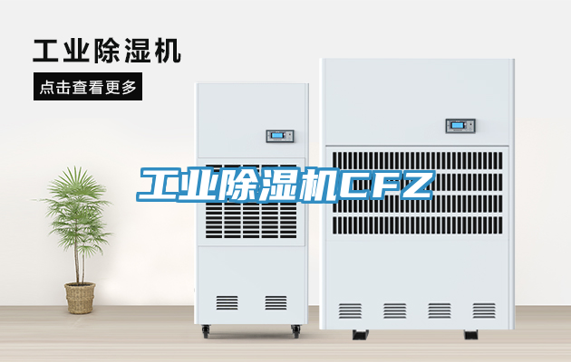 工業榴莲视频官网APPCFZ