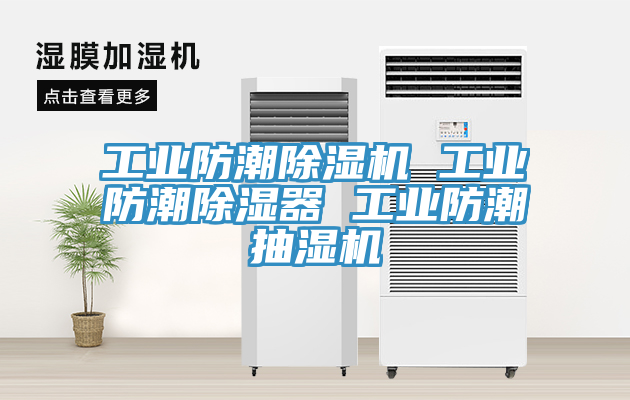 工業防潮榴莲视频官网APP 工業防潮除濕器 工業防潮抽濕機