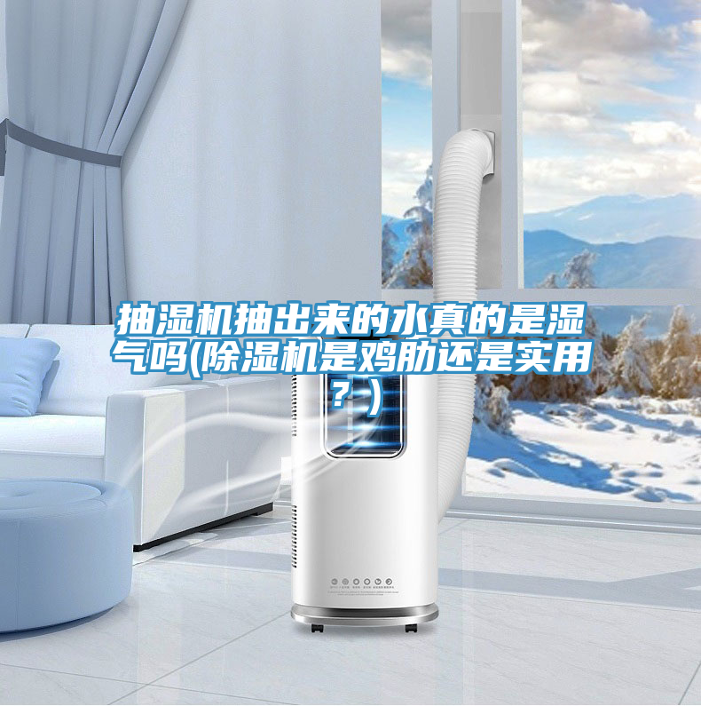 抽濕機抽出來的水真的是濕氣嗎(榴莲视频官网APP是雞肋還是實用？)