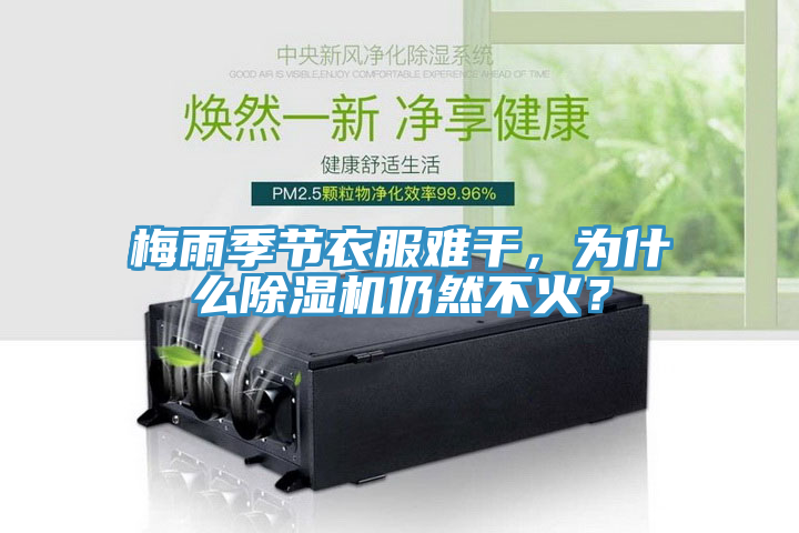 梅雨季節衣服難幹，為什麽榴莲视频官网APP仍然不火？