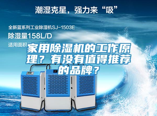 家用榴莲视频官网APP的工作原理？有沒有值得推薦的品牌？
