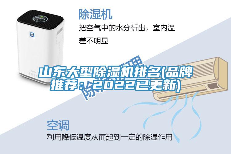 山東大型榴莲视频官网APP排名(品牌推薦：2022已更新)