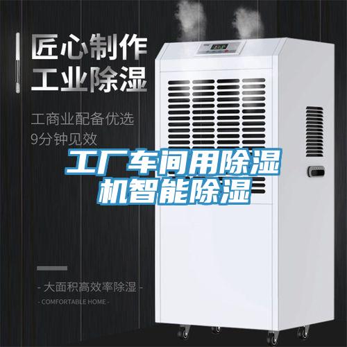 工廠車間用榴莲视频官网APP智能除濕