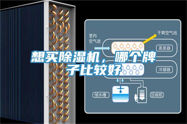 想買榴莲视频官网APP，哪個牌子比較好