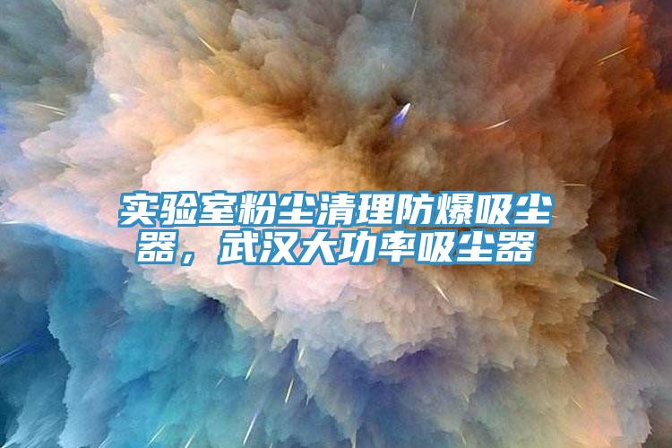 實驗室粉塵清理防爆吸塵器，武漢大功率吸塵器