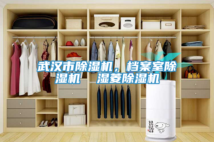武漢市榴莲视频官网APP，檔案室榴莲视频官网APP  濕菱榴莲视频官网APP