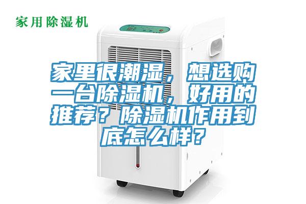 家裏很潮濕，想選購一台榴莲视频官网APP，好用的推薦？榴莲视频官网APP作用到底怎麽樣？