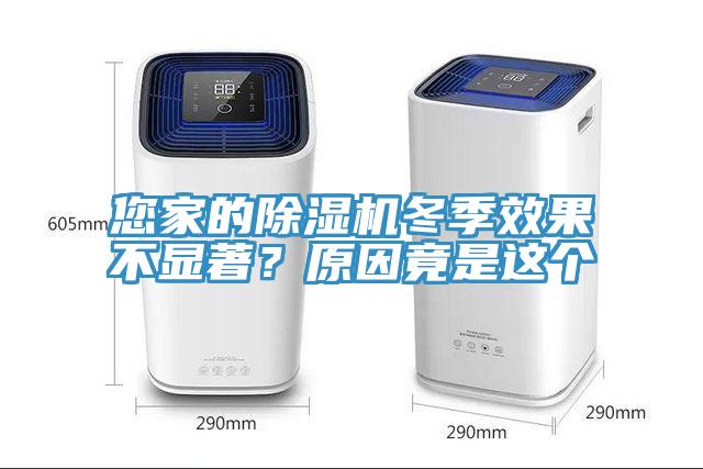 您家的榴莲视频官网APP冬季效果不顯著？原因竟是這個