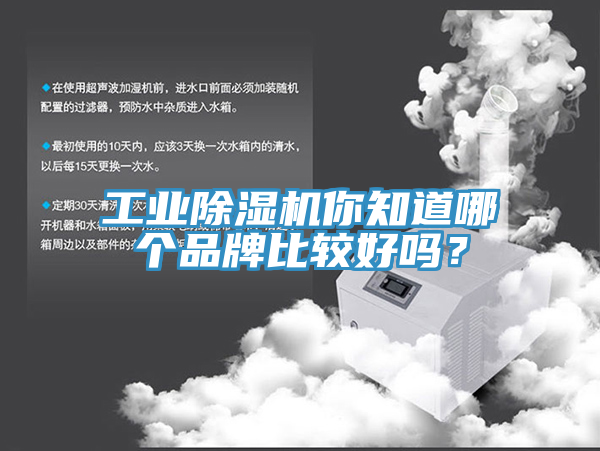工業榴莲视频官网APP你知道哪個品牌比較好嗎？