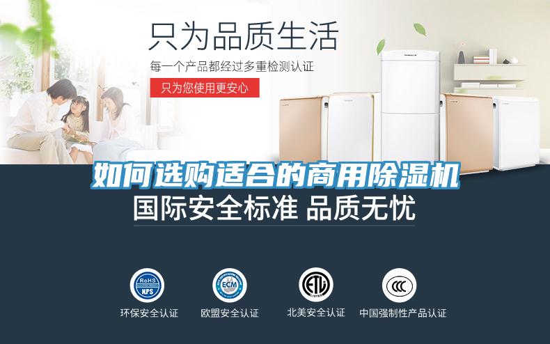 如何選購適合的商用榴莲视频官网APP