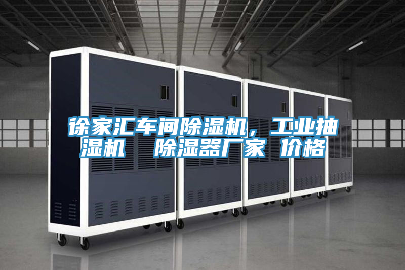 徐家匯車間榴莲视频官网APP，工業抽濕機  除濕器廠家 價格