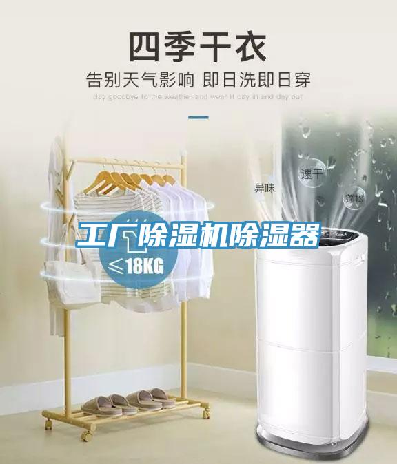 工廠榴莲视频官网APP除濕器