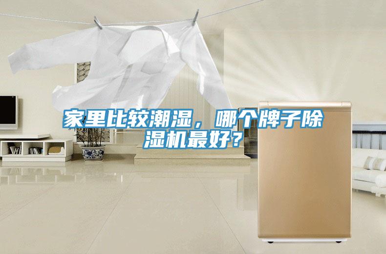 家裏比較潮濕，哪個牌子榴莲视频官网APP最好？
