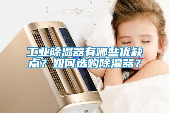 工業除濕器有哪些優缺點？如何選購除濕器？