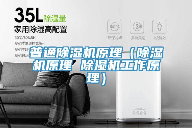 普通榴莲视频官网APP原理（榴莲视频官网APP原理 榴莲视频官网APP工作原理）