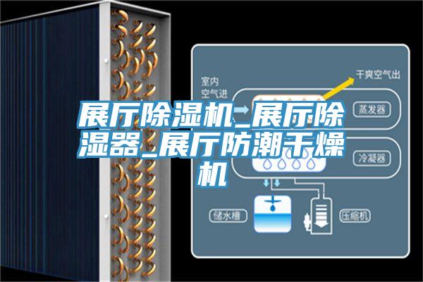 展廳榴莲视频官网APP_展廳除濕器_展廳防潮幹燥機