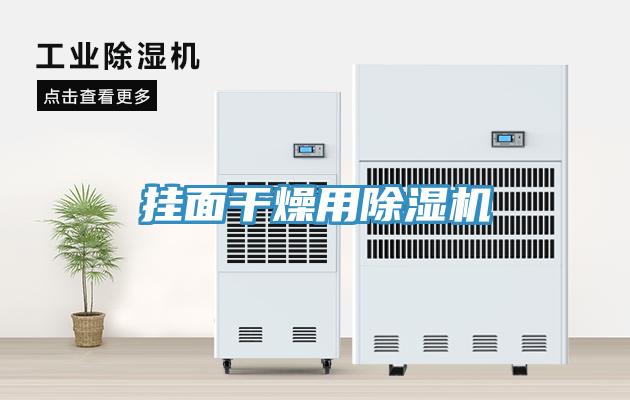 掛麵幹燥用榴莲视频官网APP