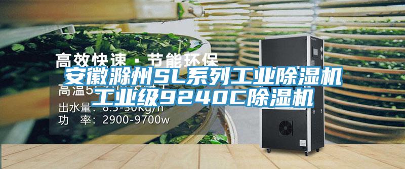 安徽滁州SL係列工業榴莲视频官网APP工業級9240C榴莲视频官网APP