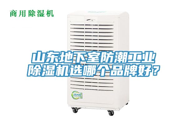 山東地下室防潮工業榴莲视频官网APP選哪個品牌好？