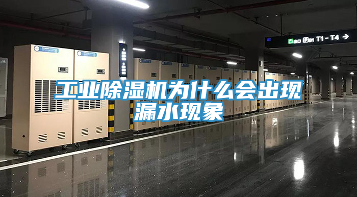工業榴莲视频官网APP為什麽會出現漏水現象