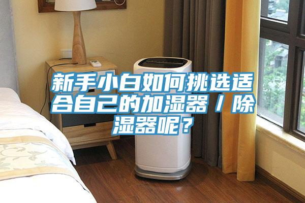 新手小白如何挑選適合自己的加濕器／除濕器呢？