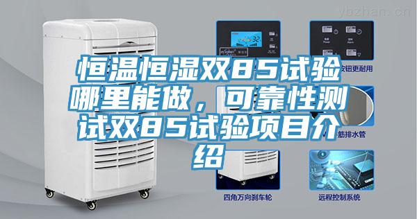 恒溫恒濕雙85試驗哪裏能做，可靠性測試雙85試驗項目介紹