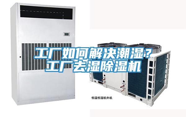 工廠如何解決潮濕？工廠去濕榴莲视频官网APP