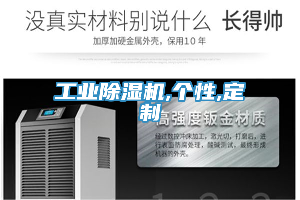 工業榴莲视频官网APP,個性,定製