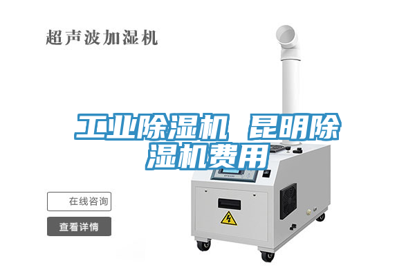 工業榴莲视频官网APP 昆明榴莲视频官网APP費用