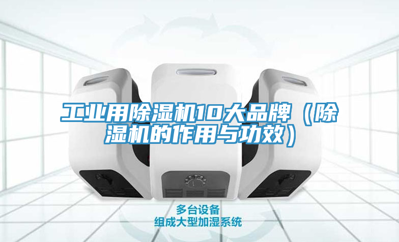 工業用榴莲视频官网APP10大品牌（榴莲视频官网APP的作用與功效）