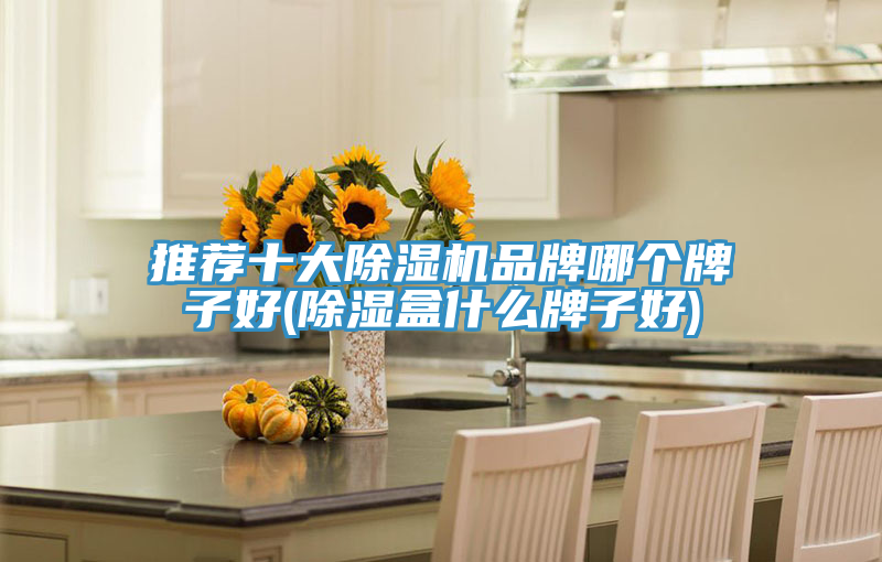 推薦十大榴莲视频官网APP品牌哪個牌子好(除濕盒什麽牌子好)