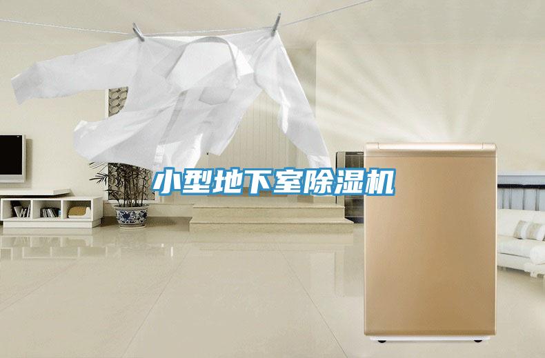 小型地下室榴莲视频官网APP